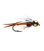 Hot Wired Prince Tungsten 2 Pack - US 2436