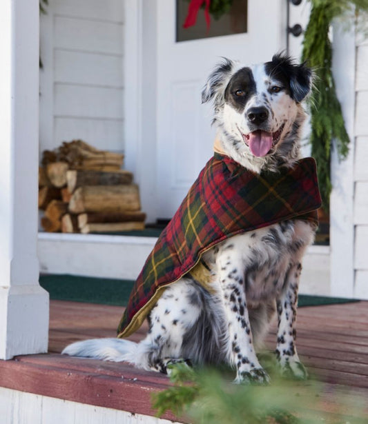 Reversible Field Coat for Dogs - US 9285