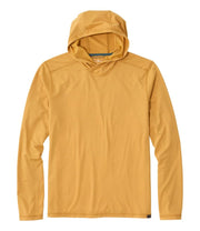 Warm Gold